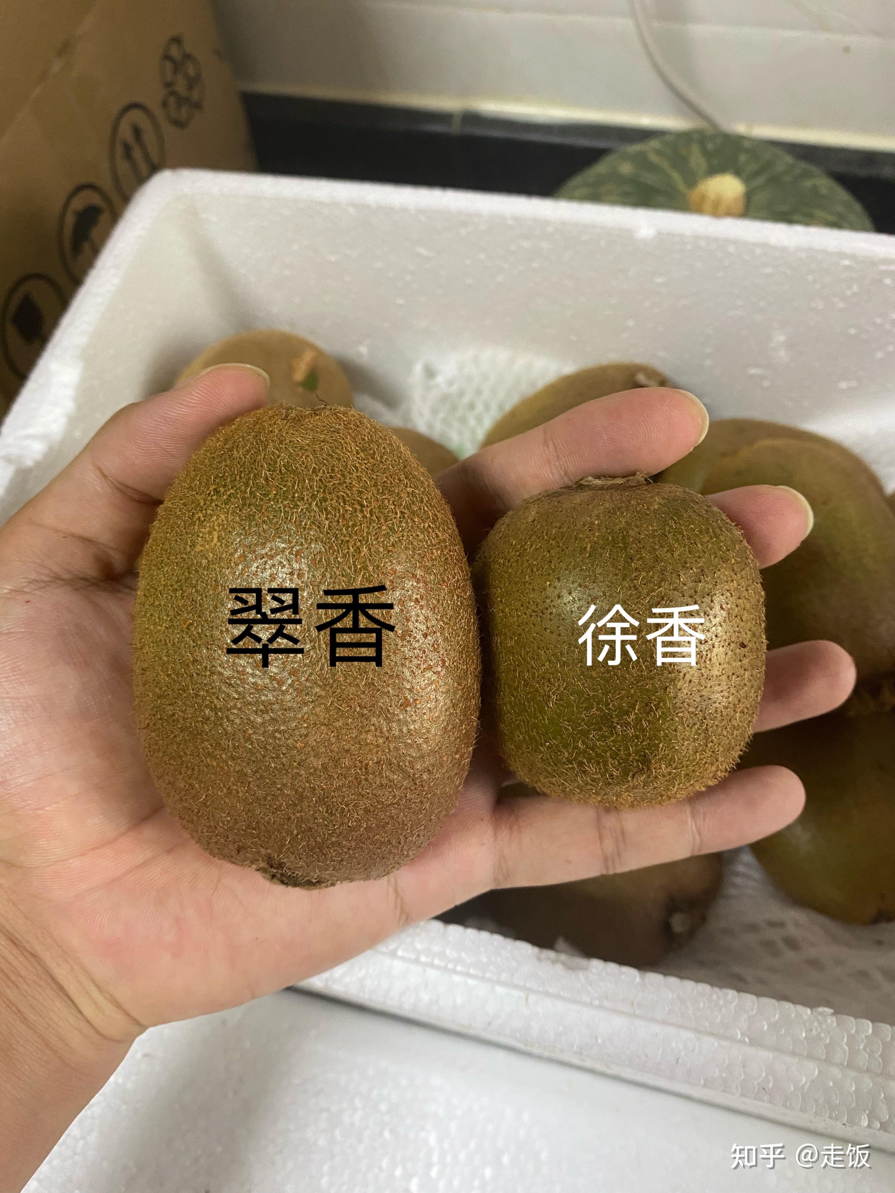 求推荐靠谱的水果店家?