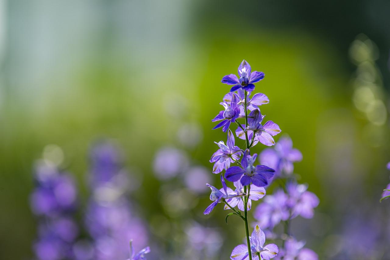 品质生活尽享无忧
