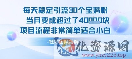 每天稳定引流30个人 当月变成超过了4个W项目流程非常简单适合小白