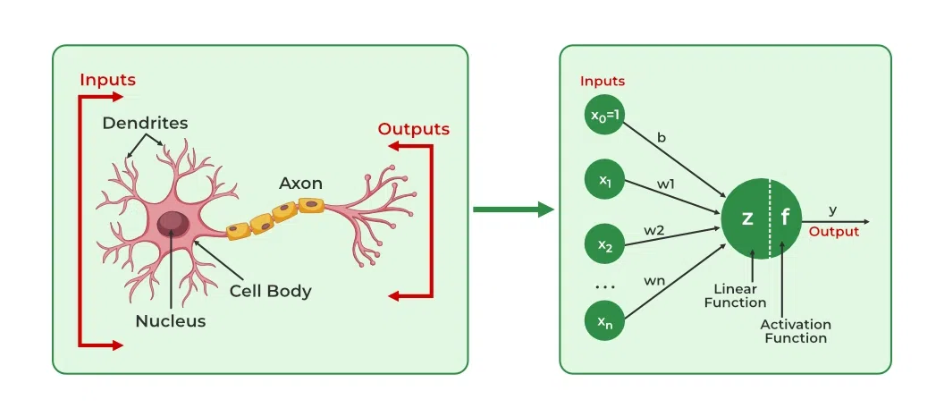 人工神经网络有哪些?各自的优缺点?