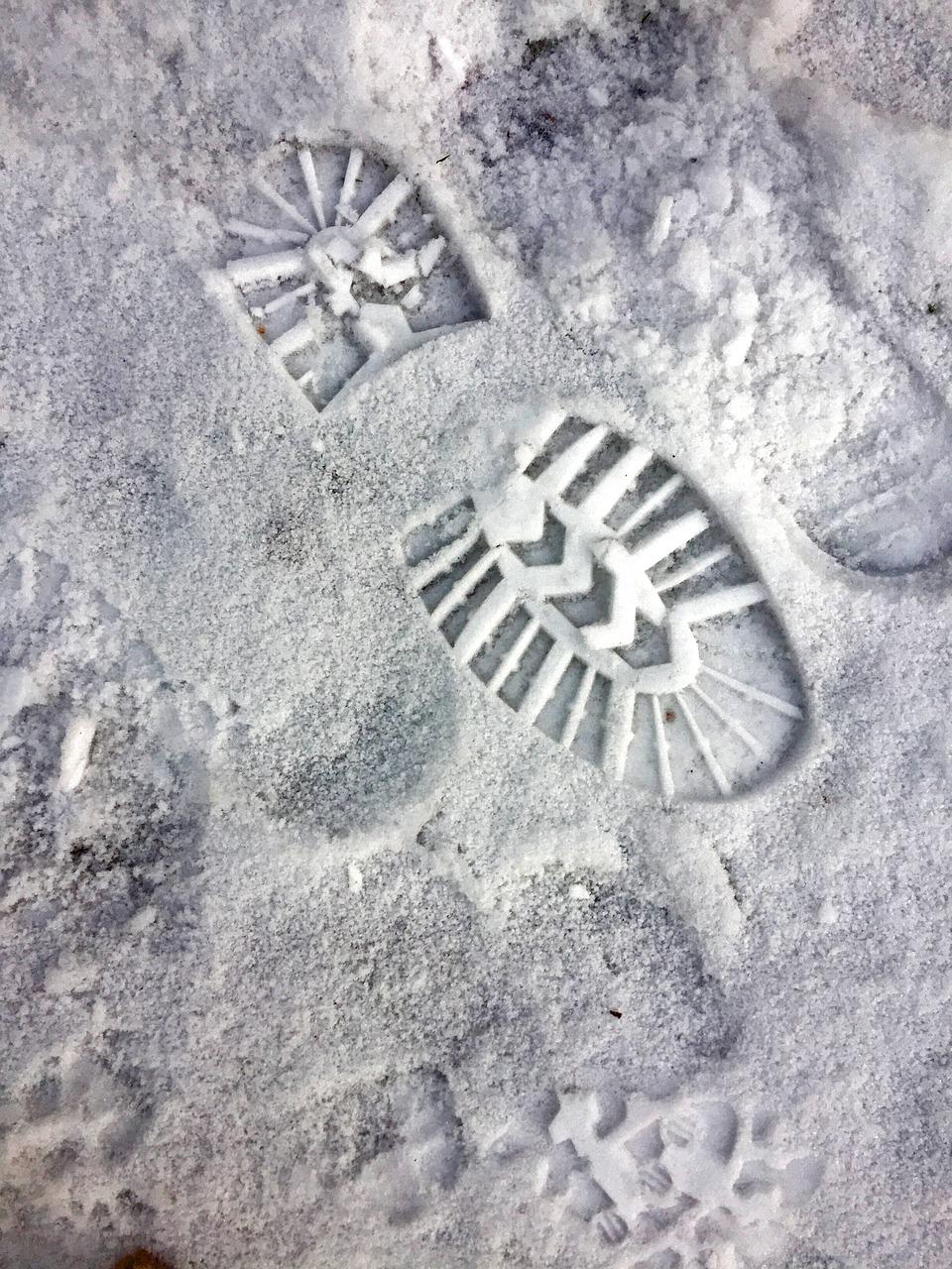 3. 冷冻温度标准