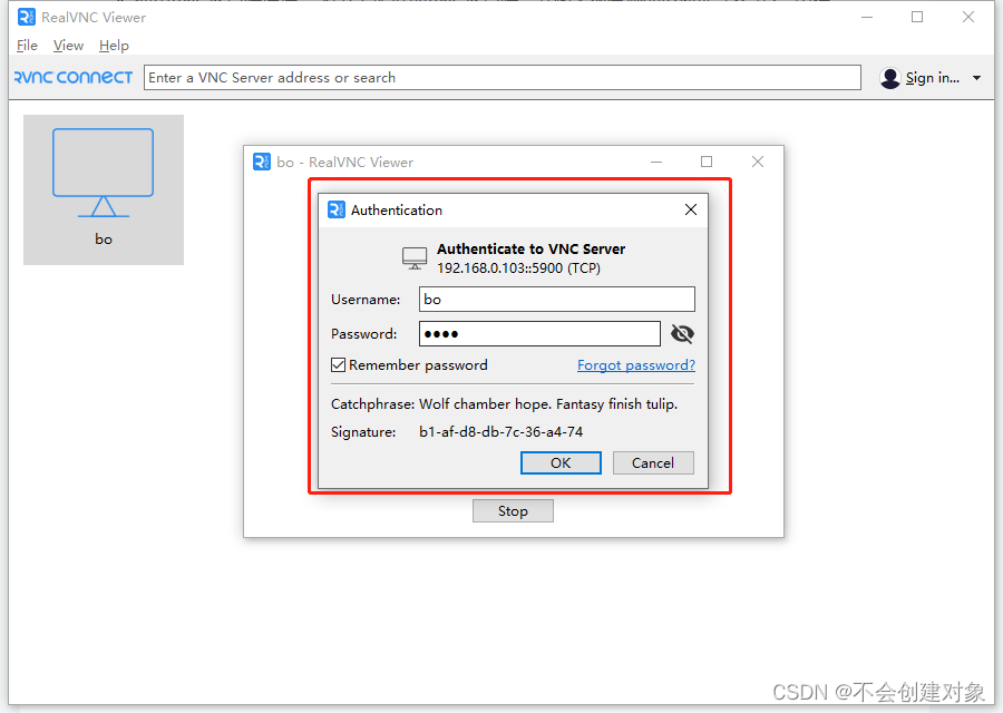  vnc 