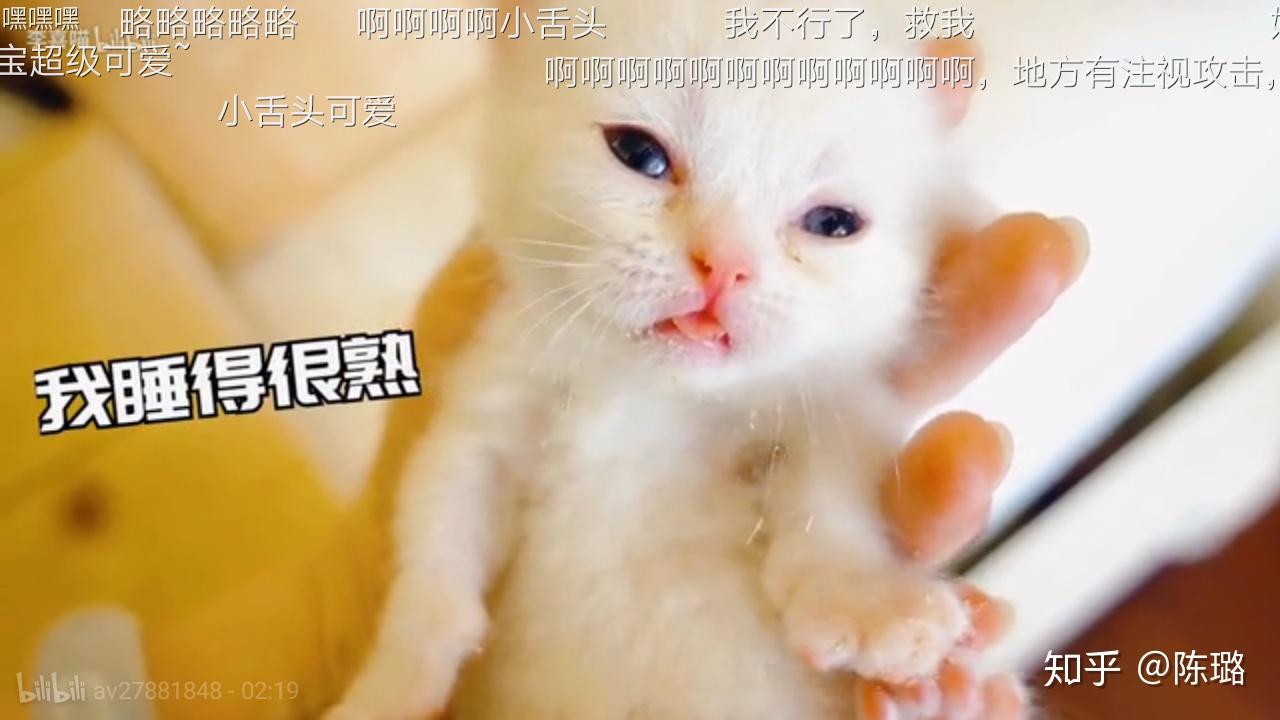 有什么适用于和老公男票撒娇的可爱表情包