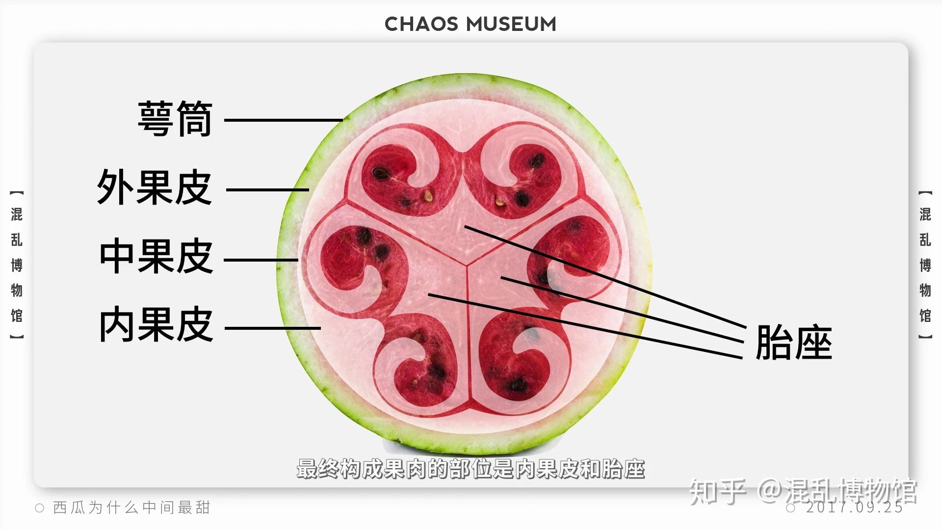 你知道哪些关于西瓜的冷知识?