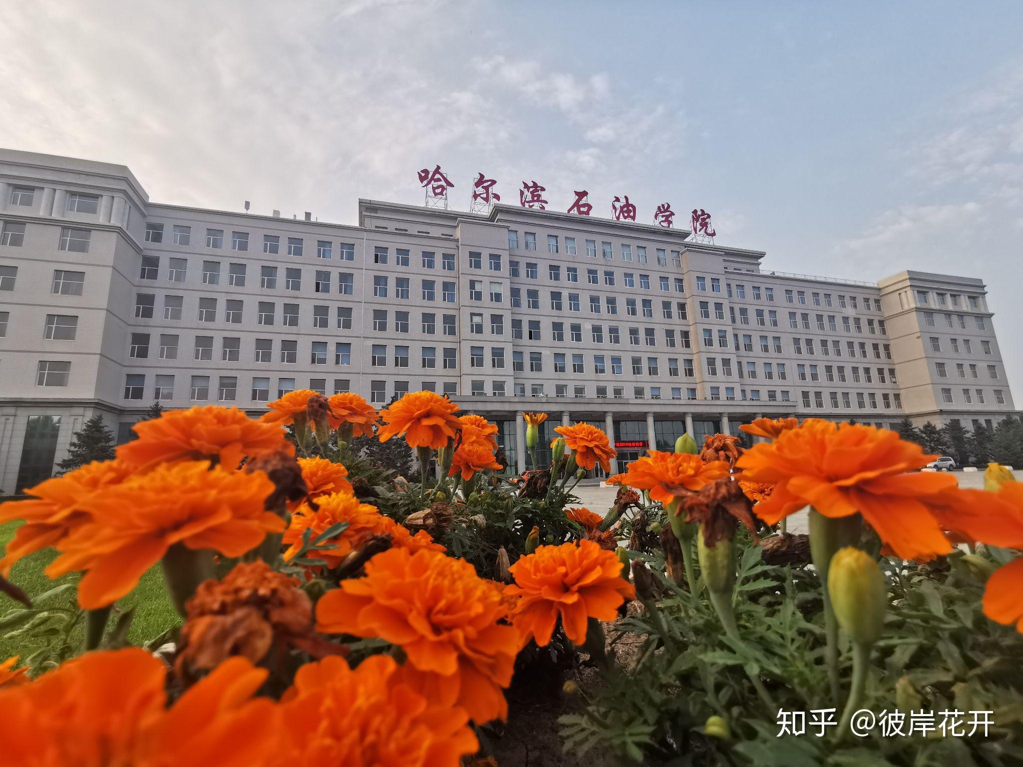 你手机里有哪张照片最能体现哈尔滨石油学院的美景
