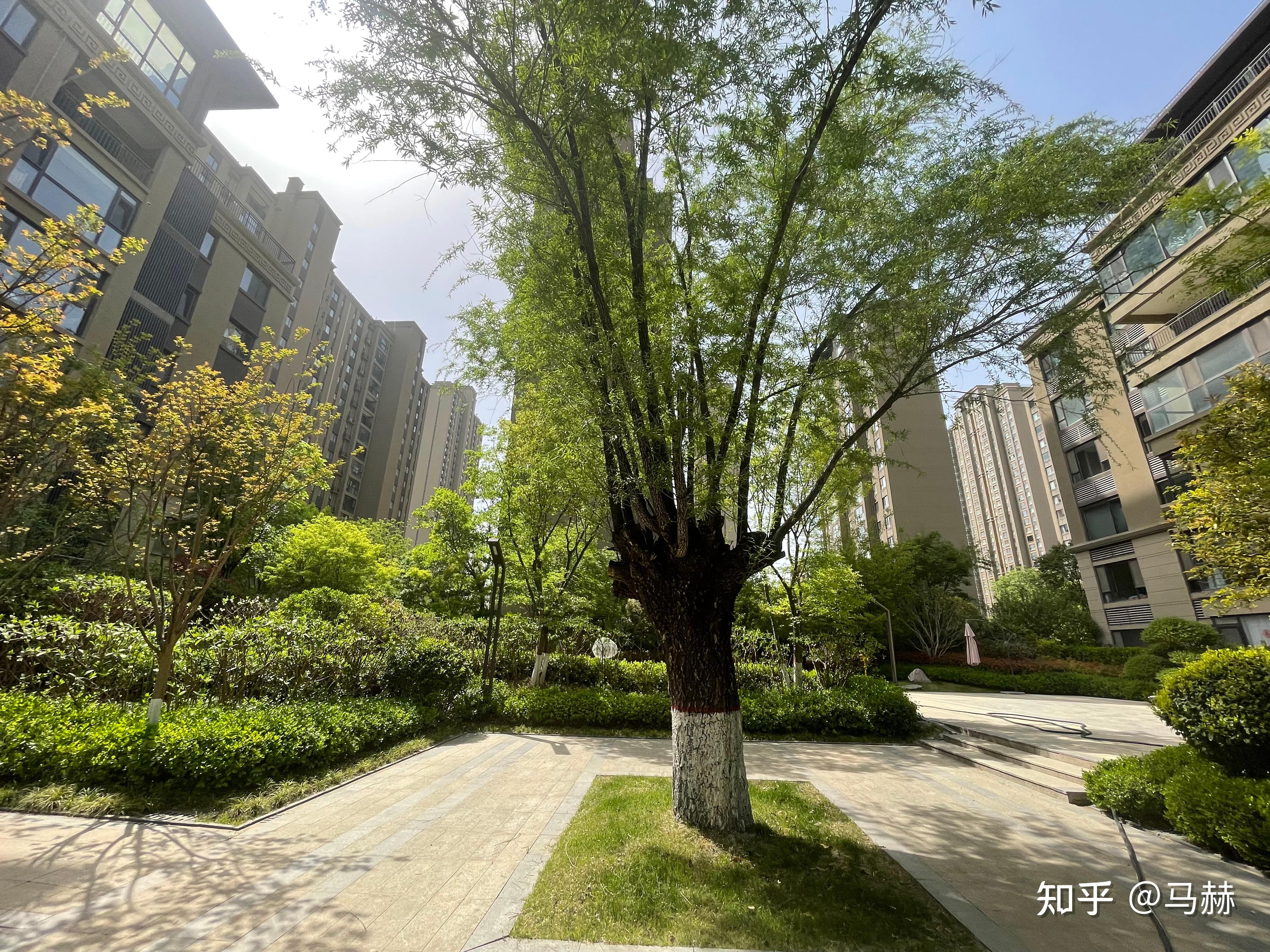 西安小区巡礼之186-碧桂园凤凰城 - 知乎