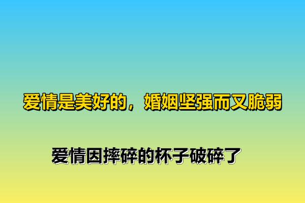 愛情是美好的婚姻堅強而又脆弱愛情因摔碎的杯子破碎了