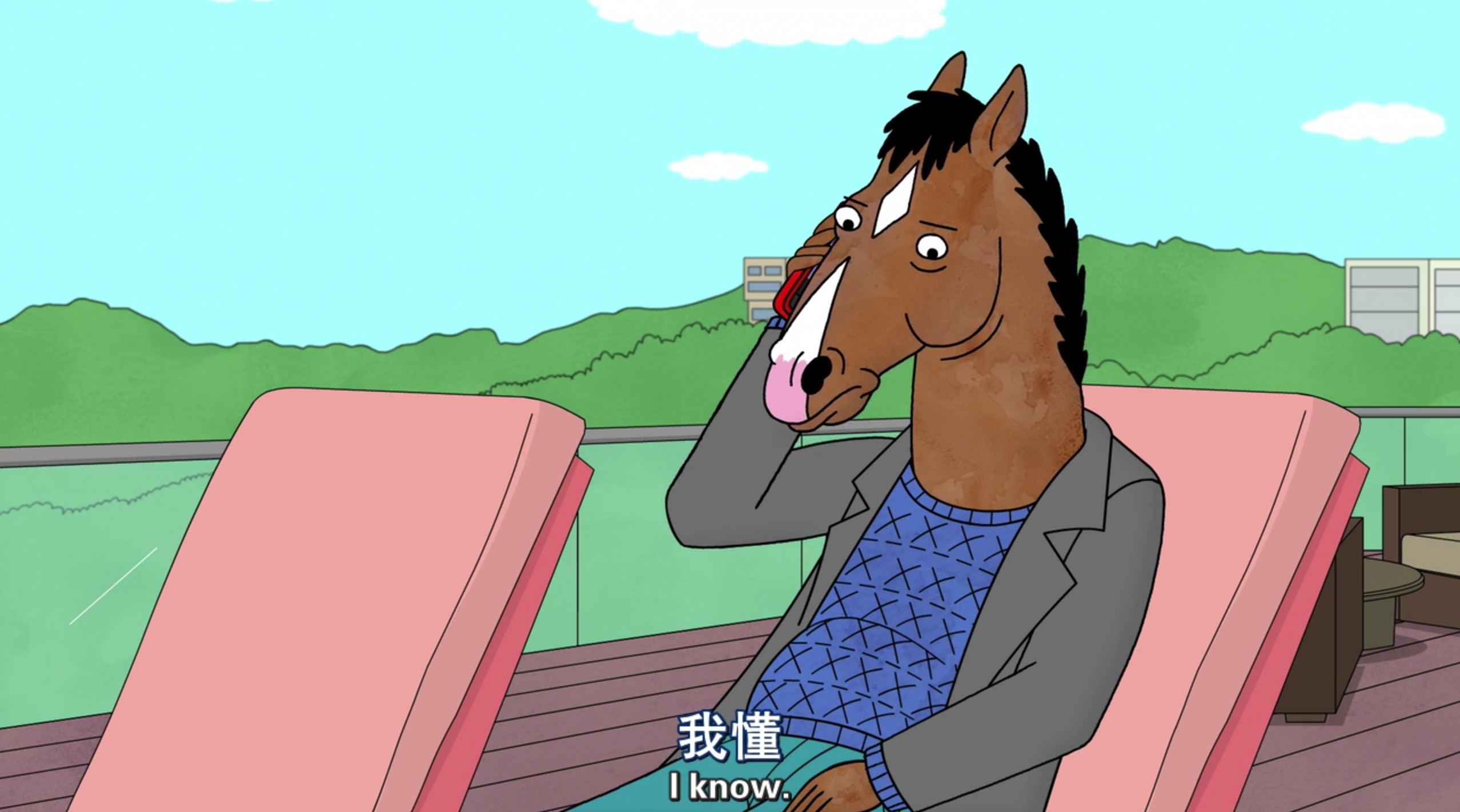 如何评价马男波杰克第五季