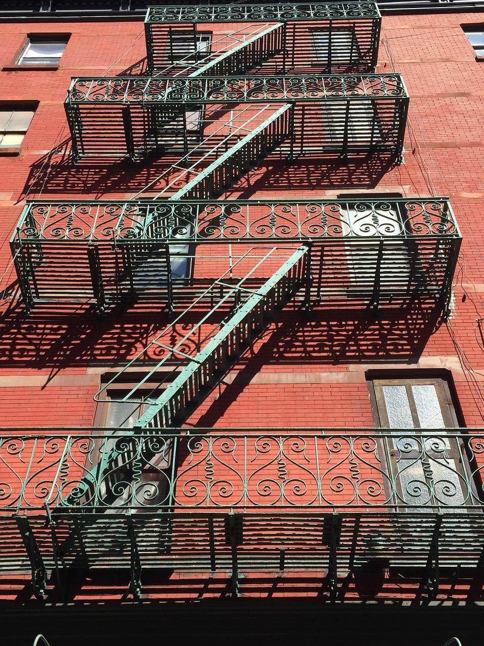 南京 南湖哪里有桑树