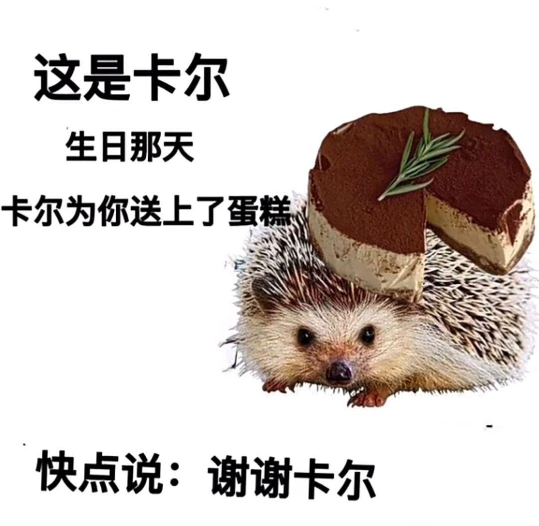 求刺猬卡尔表情包.哪哪都找不着? - 知乎