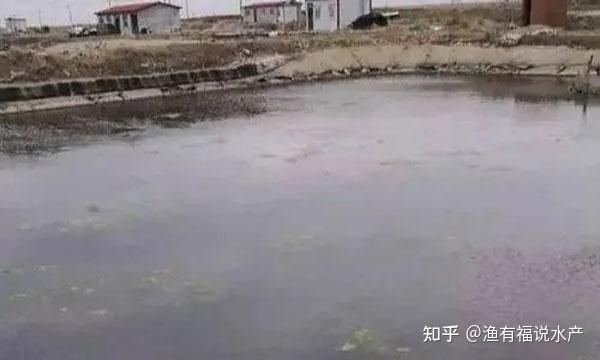 池塘水质浑浊的原因及解决措施 - 知乎
