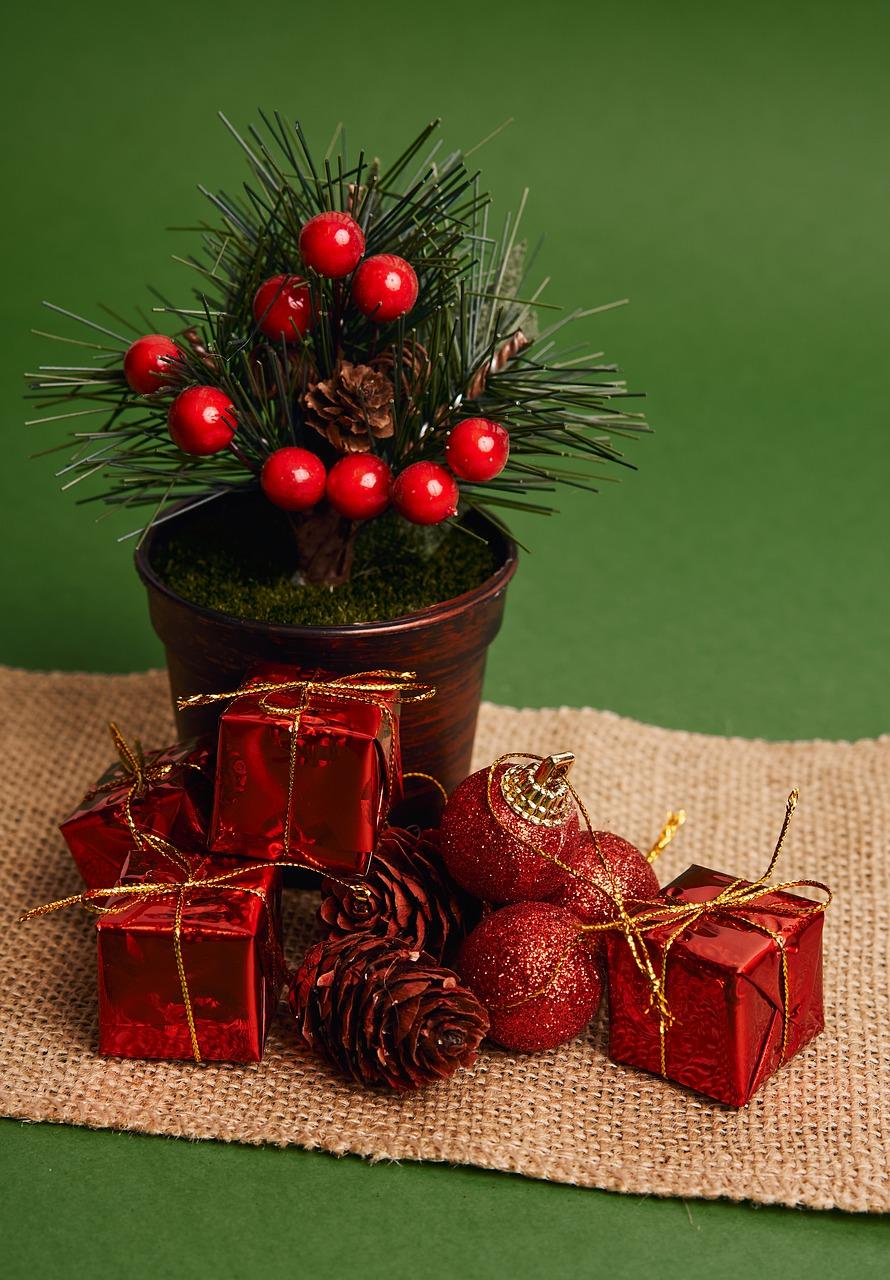 模范小学生风采