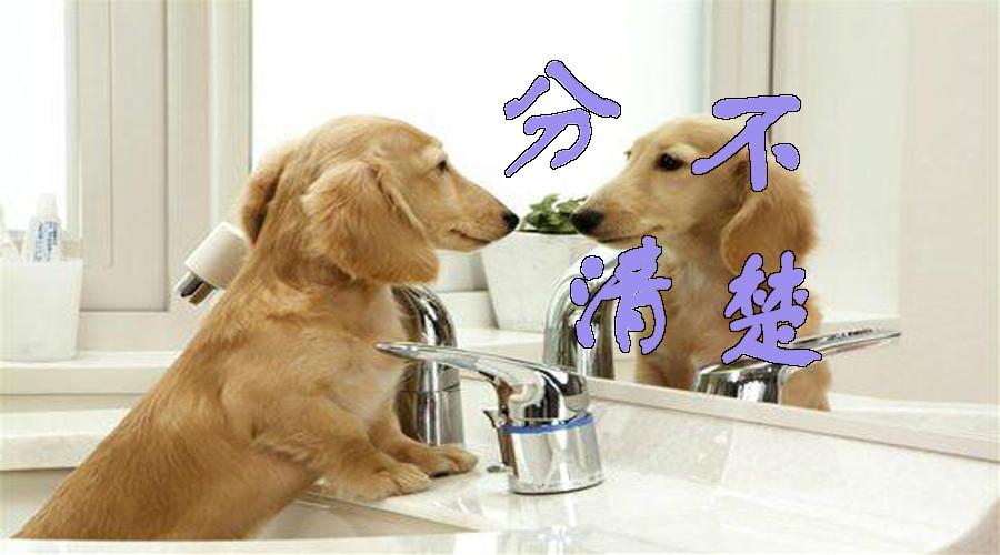 v2-a8fb0443db9e7d96360fdafb08635b7d_1440w.jpg?source=172ae18b