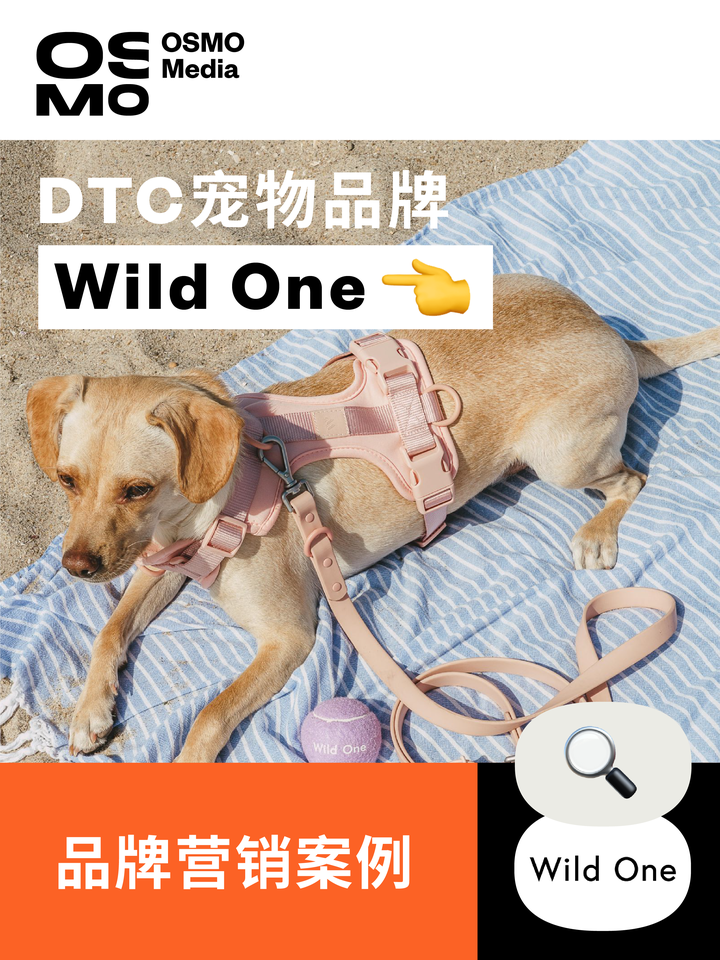 DTC宠物品牌Wild One是如何打造愉悦的爱宠体验的？ 知乎