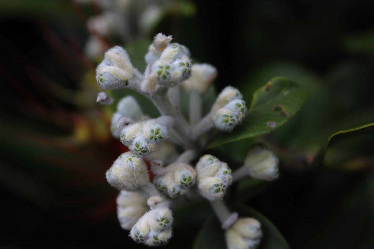 4. 肥力充足土壤选
