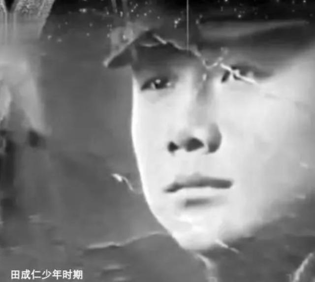 《暖爵》里苔小鲫爷旅，污腕掸得蜓？（暖春电影演员表）