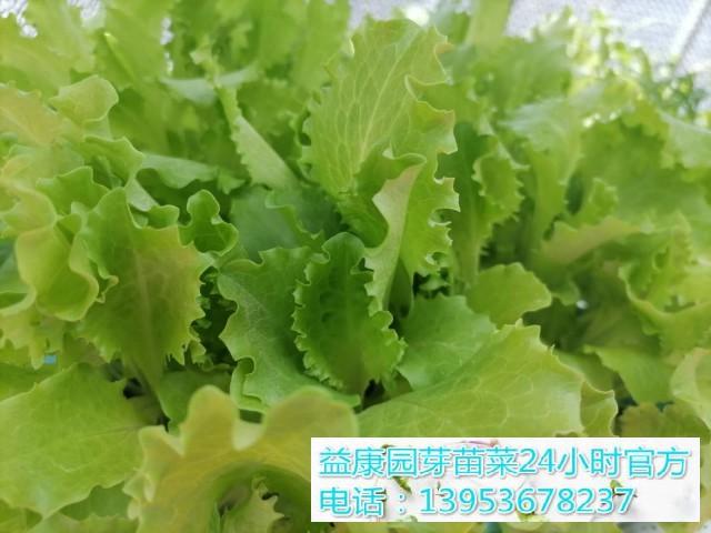 v2-a9ef77184628d0ea103ef426e6274aa2_1440w.jpg?source=172ae18b