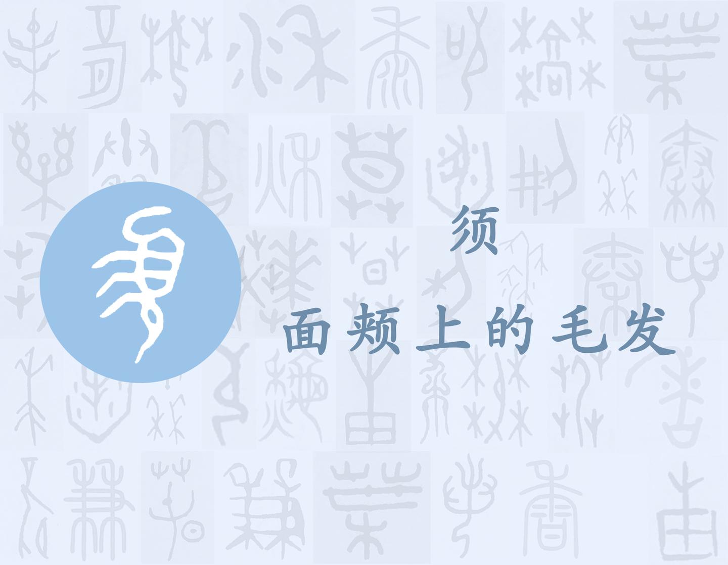 须——每日一字·页部字 - 知乎