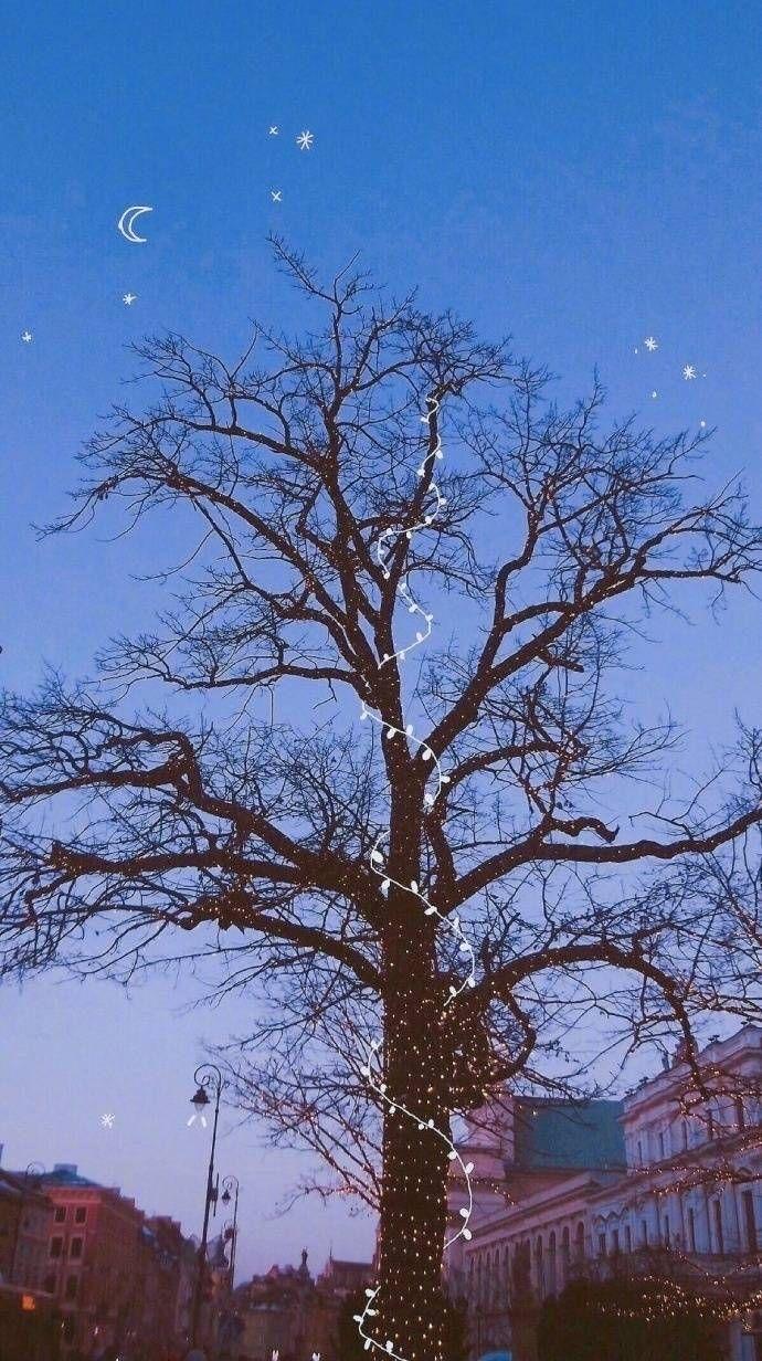 有什么壁纸适合作为微信运动的背景图? - 知乎