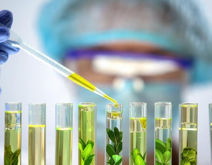 我国植物提取行业有何特点? - 知乎