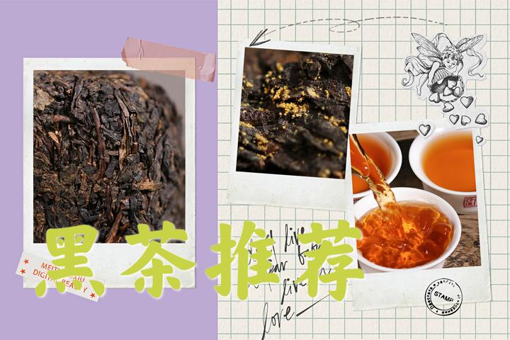 黑茶推荐：黑茶功效有哪些，2022年普洱茶/湖南安化黑茶选购全攻略 - 知乎
