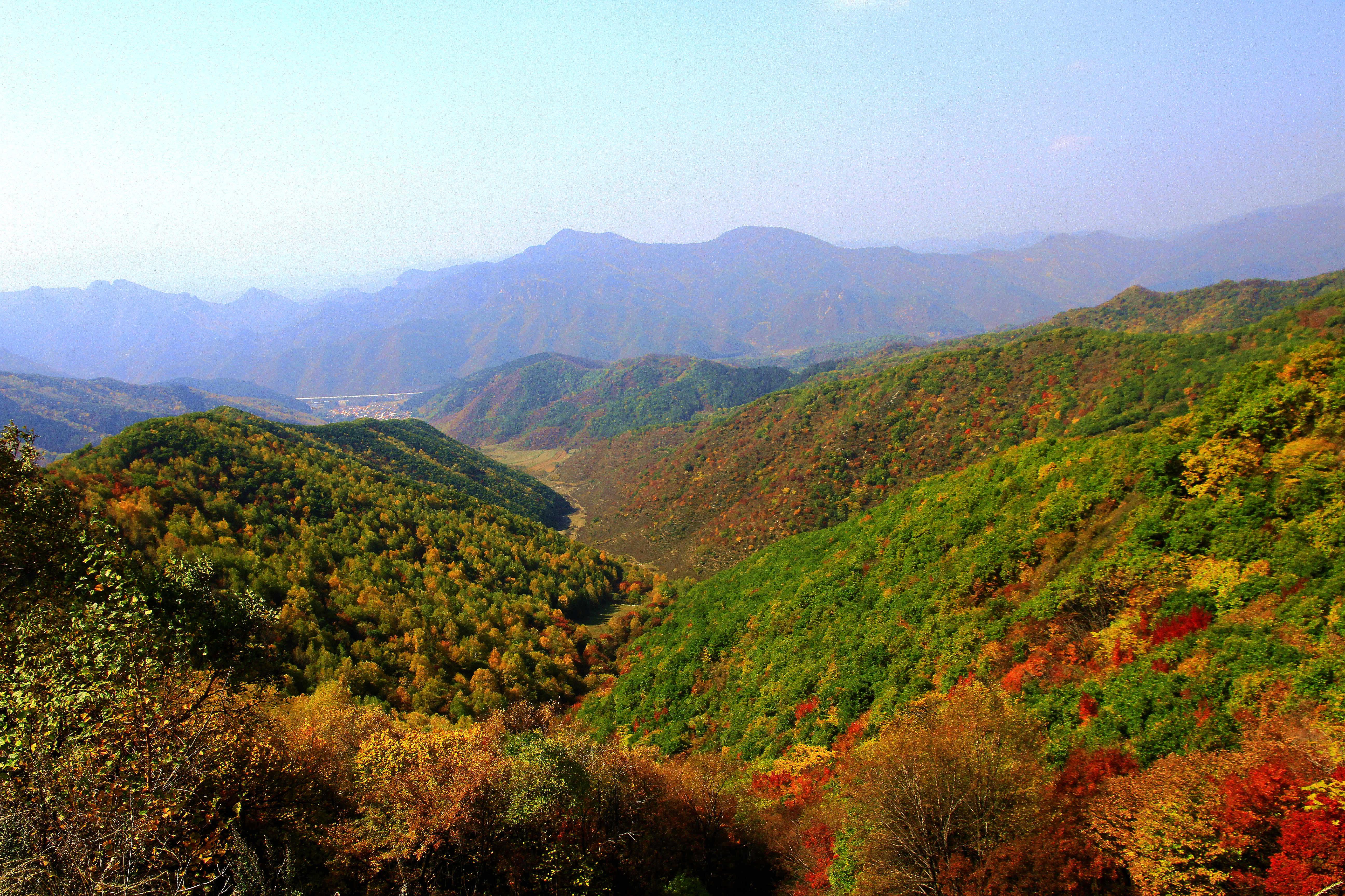 国内哪里可以看到层林尽染的秋日美景
