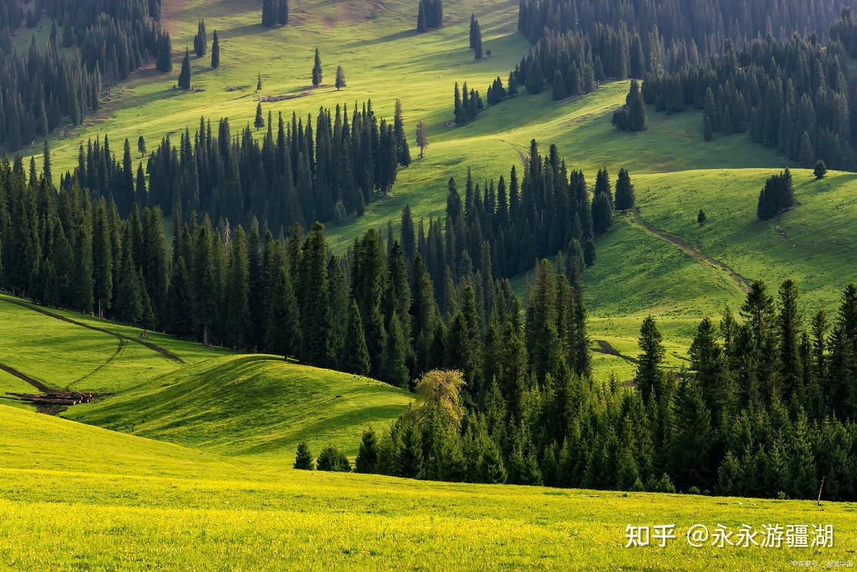 伊犁的五六月份,才是最佳旅行季节,天花板的风景都在这里了 - 知乎