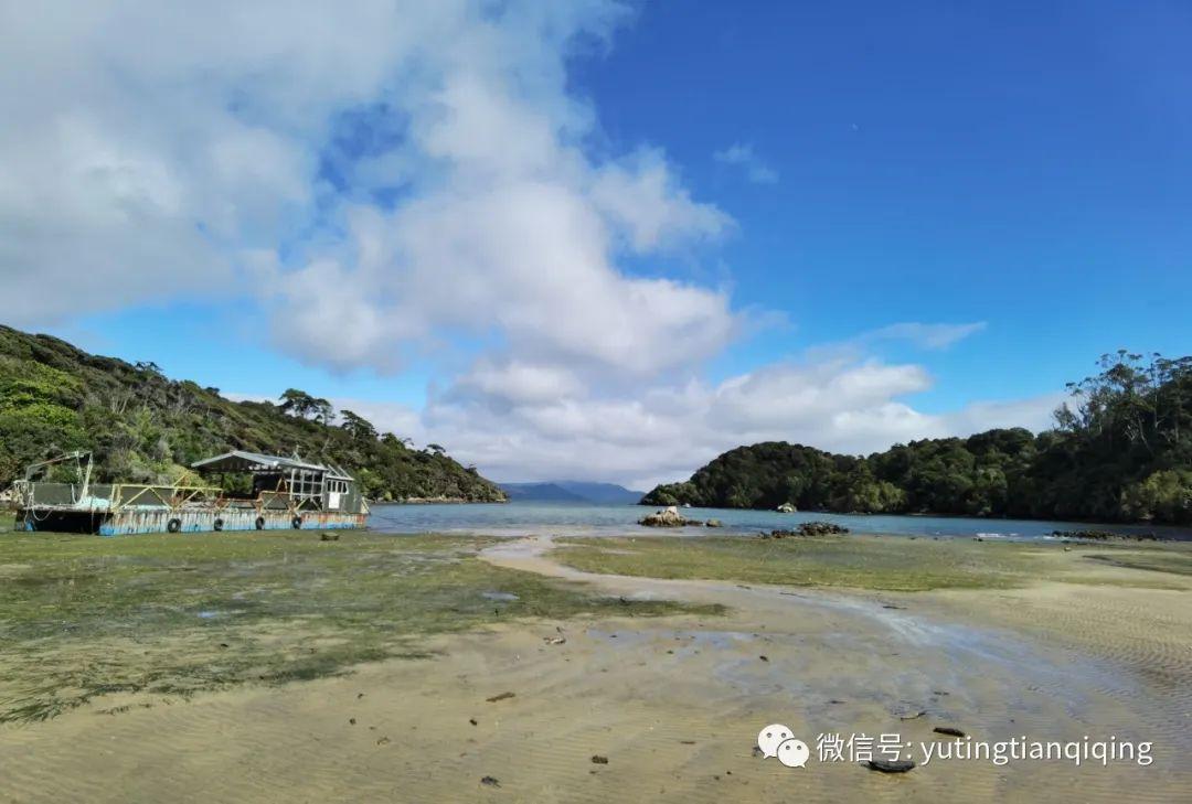 新西兰斯图尔特岛是怎样的一座海岛值得一去吗