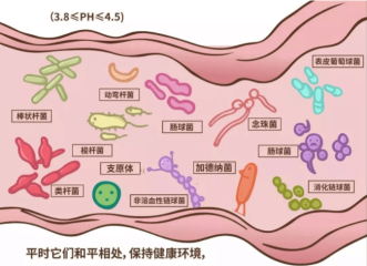 zhuanlan.zhihu.com