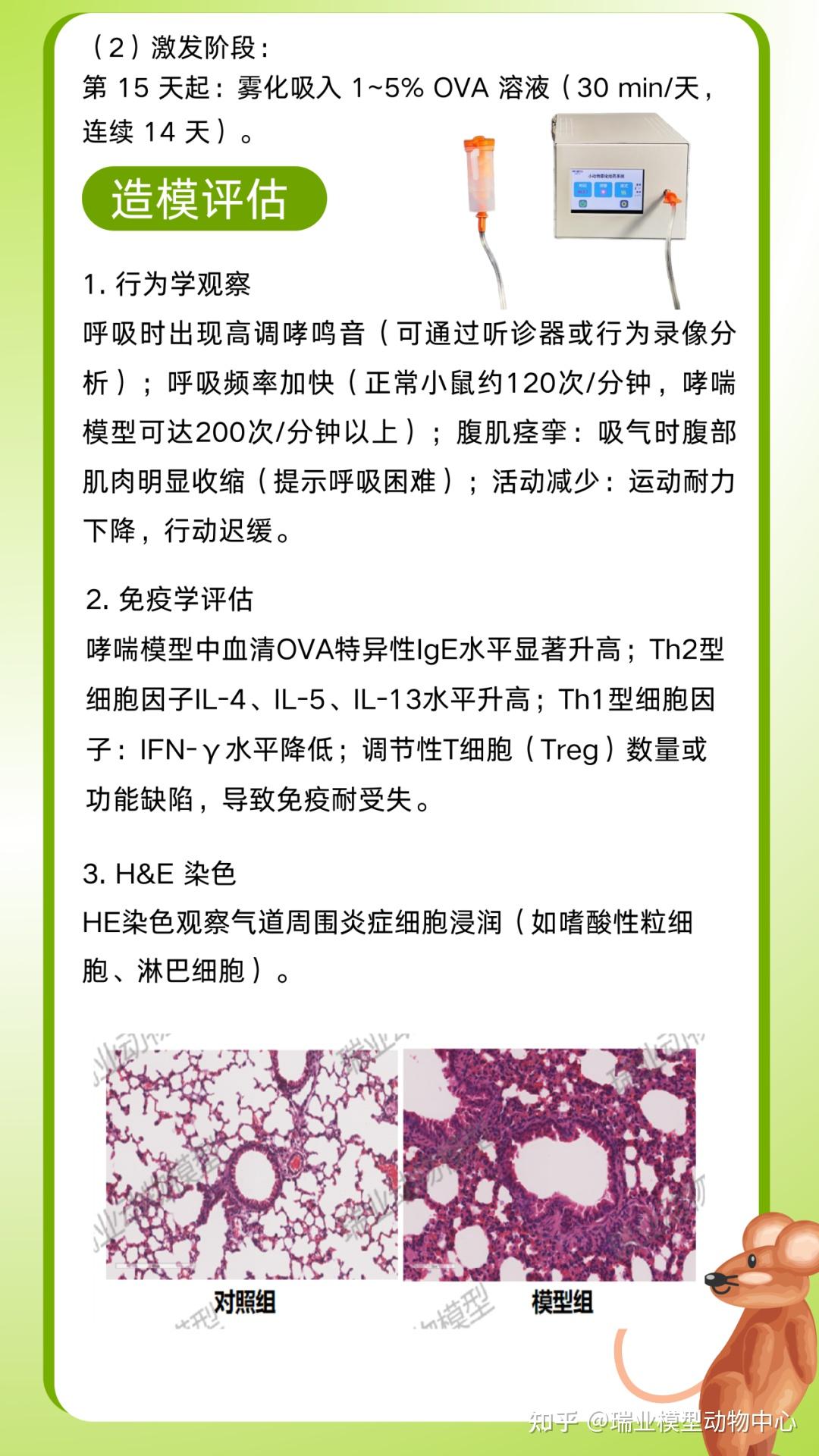 一张图带你看懂：哮喘模型 - 知乎