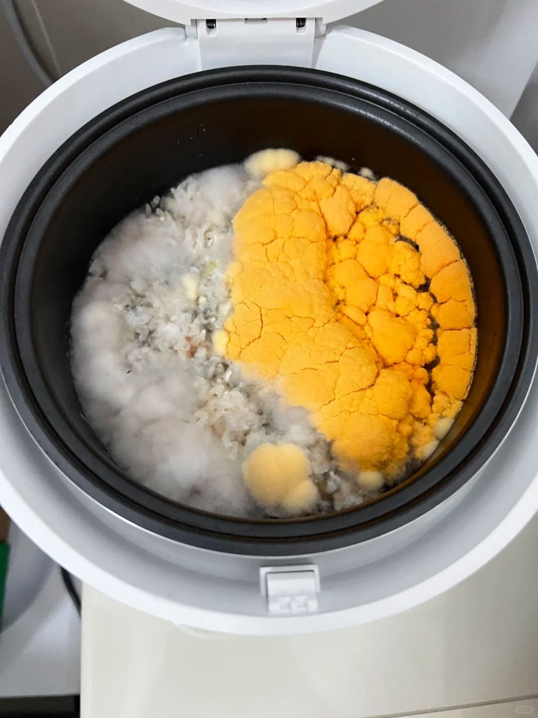 媒体称电饭煲保温超 4 小时将繁殖细菌，甚至产生致癌物，是真的吗？我们日常使用电饭煲时还要注意什么？