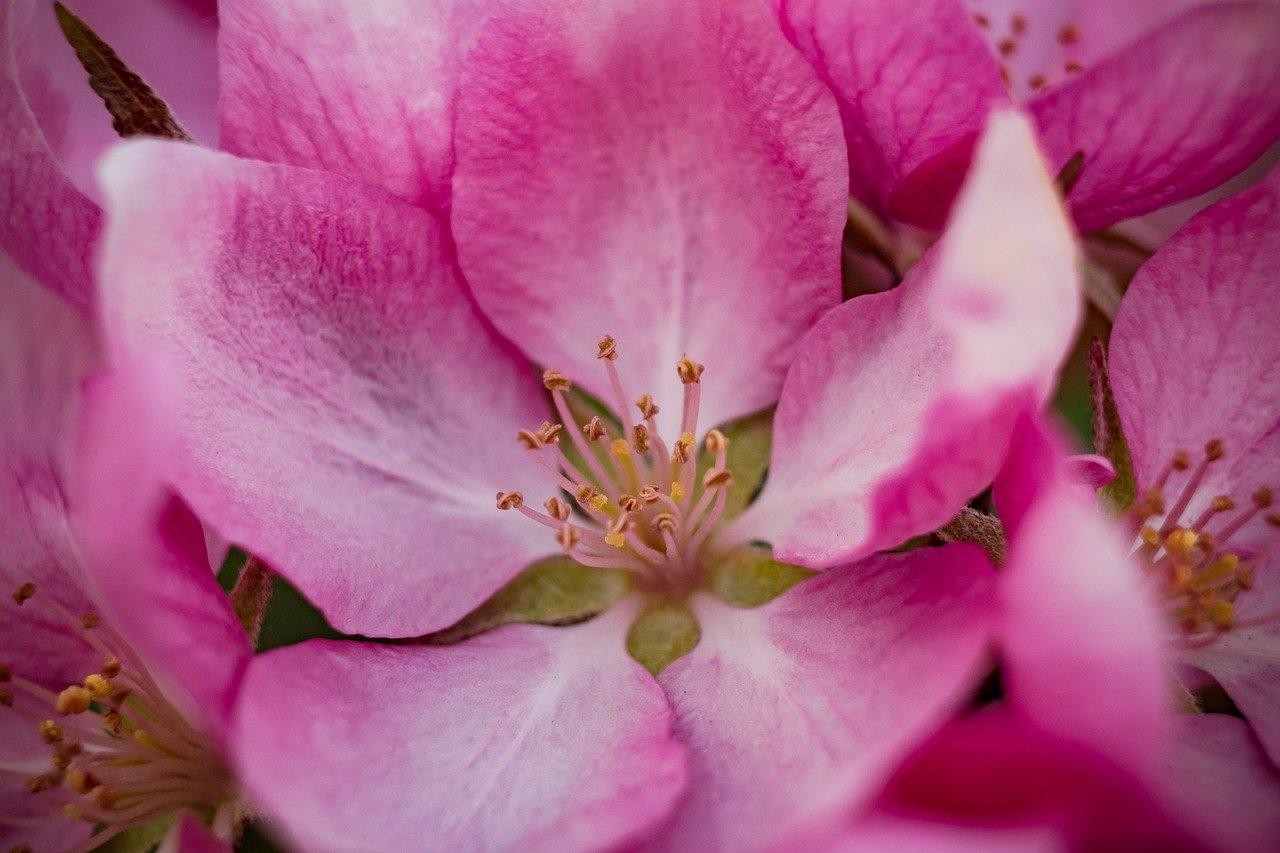 3. 冬季养护要点