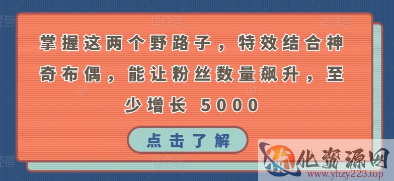 掌握这两个野路子，特效结合神奇布偶，能让粉丝数量飙升，至少增长 5000【揭秘】