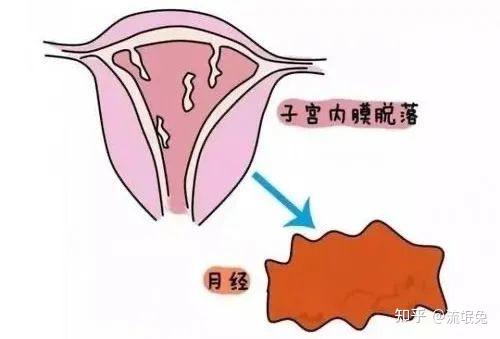 女生生理期来了最需要的是什么