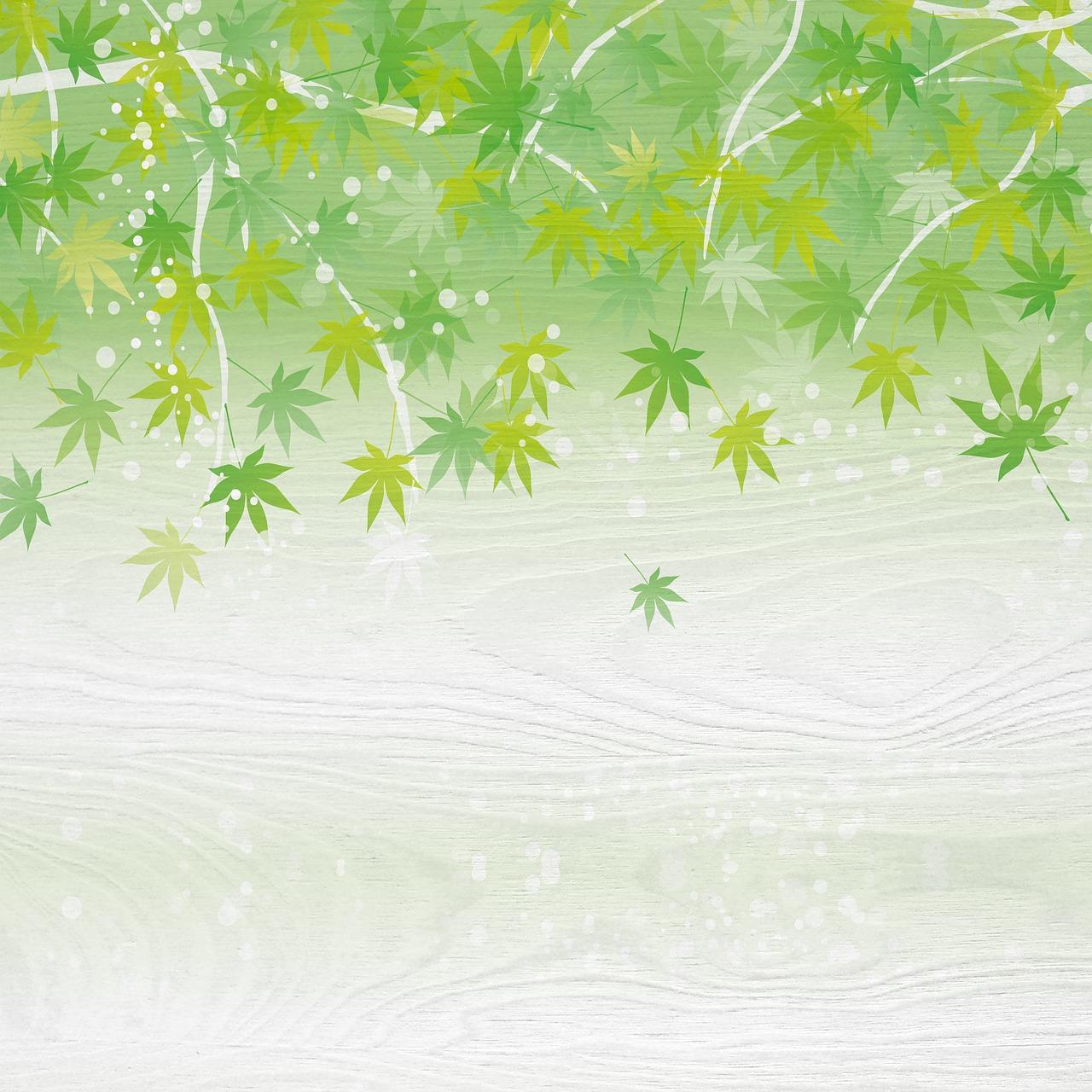 5. 施肥技巧解析