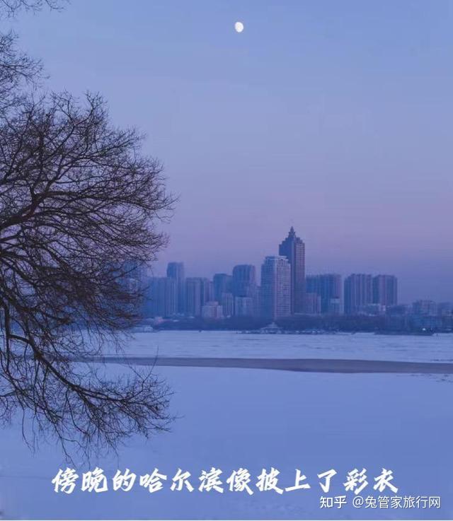 旅游的春天 雪乡的冬天 你准备好了吗？哈尔滨和雪乡——赴一场浪漫的约 - 知乎