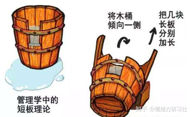 怎么利用扬长避短和取长补短做更好的自己