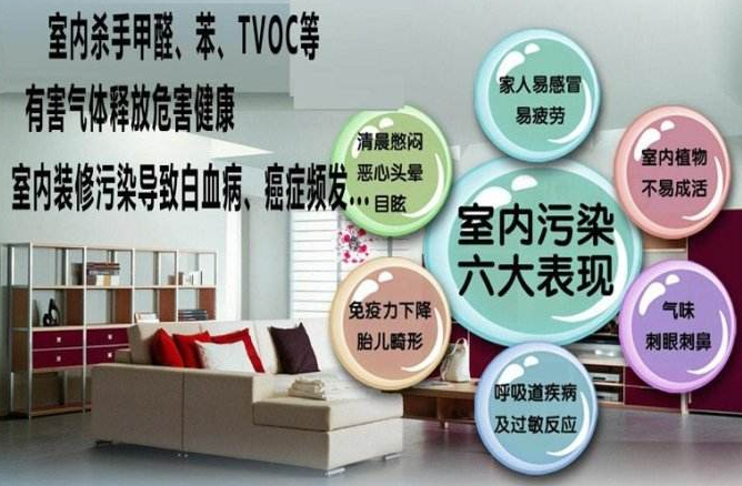 怎样有效去除室内甲醛 v2-ab3619f0c9a9ec8e10e543d8c9c0d40a_1440w.jpg?source=172ae18b