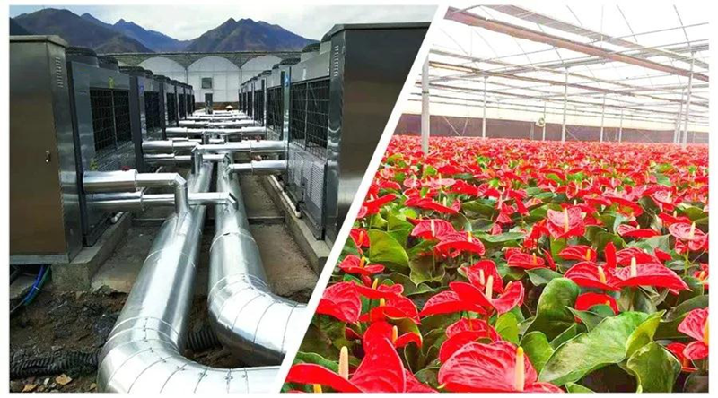 蝴蝶兰温室种植大棚采暖适合什么样的采暖系统 知乎 蝴蝶兰温室种植大棚采暖适合什么样的采暖系统 知乎