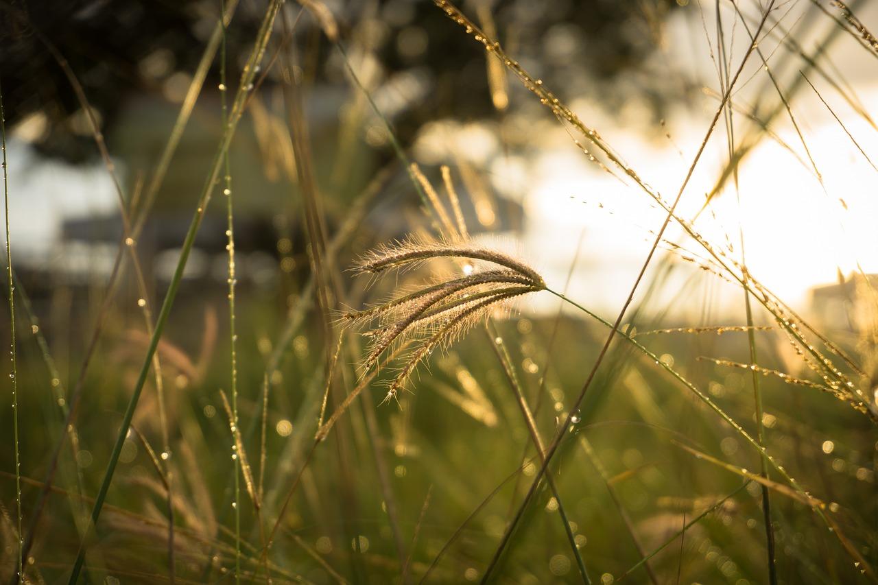 4. 草席透气性解析