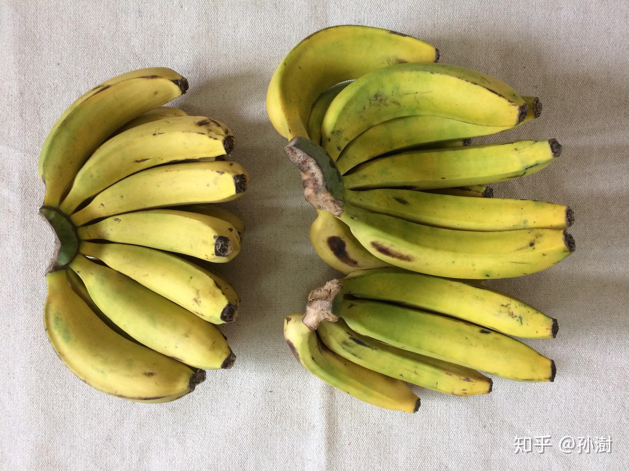 英国HIPP喜宝有机芒果香蕉优格泥 | 畅购英伦