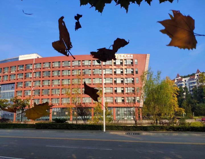 欢迎报考三峡旅游职业技术学院