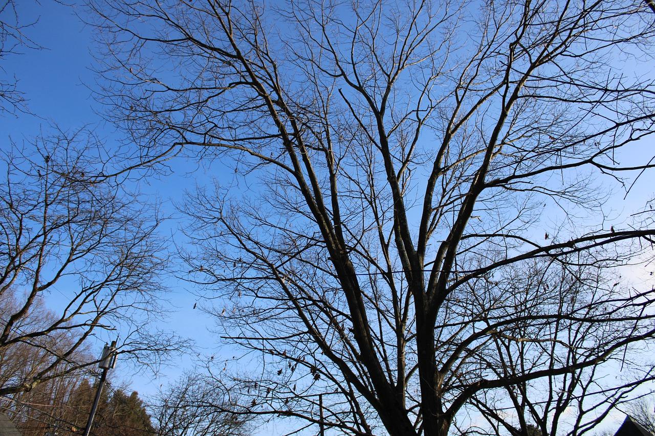 为什么在郑州上街买房