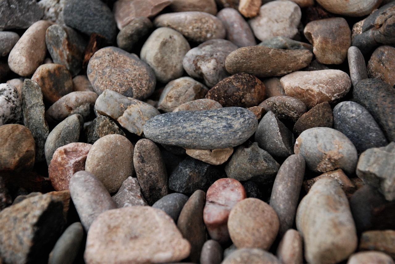 3. 长兴湖沙地探险