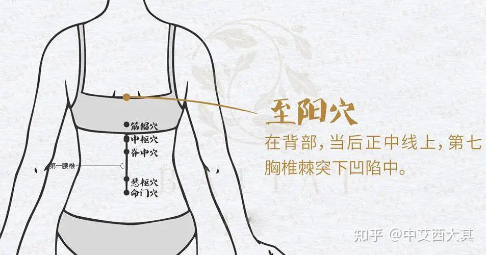 针灸治疗胃脘痛的解读(纯干货,建议收藏) - 知乎