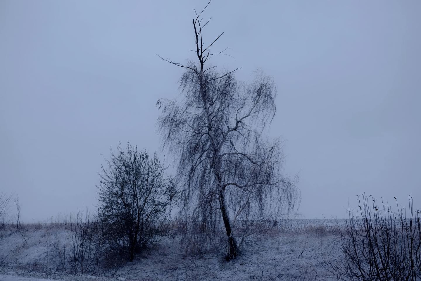 第聂伯河附近的田野