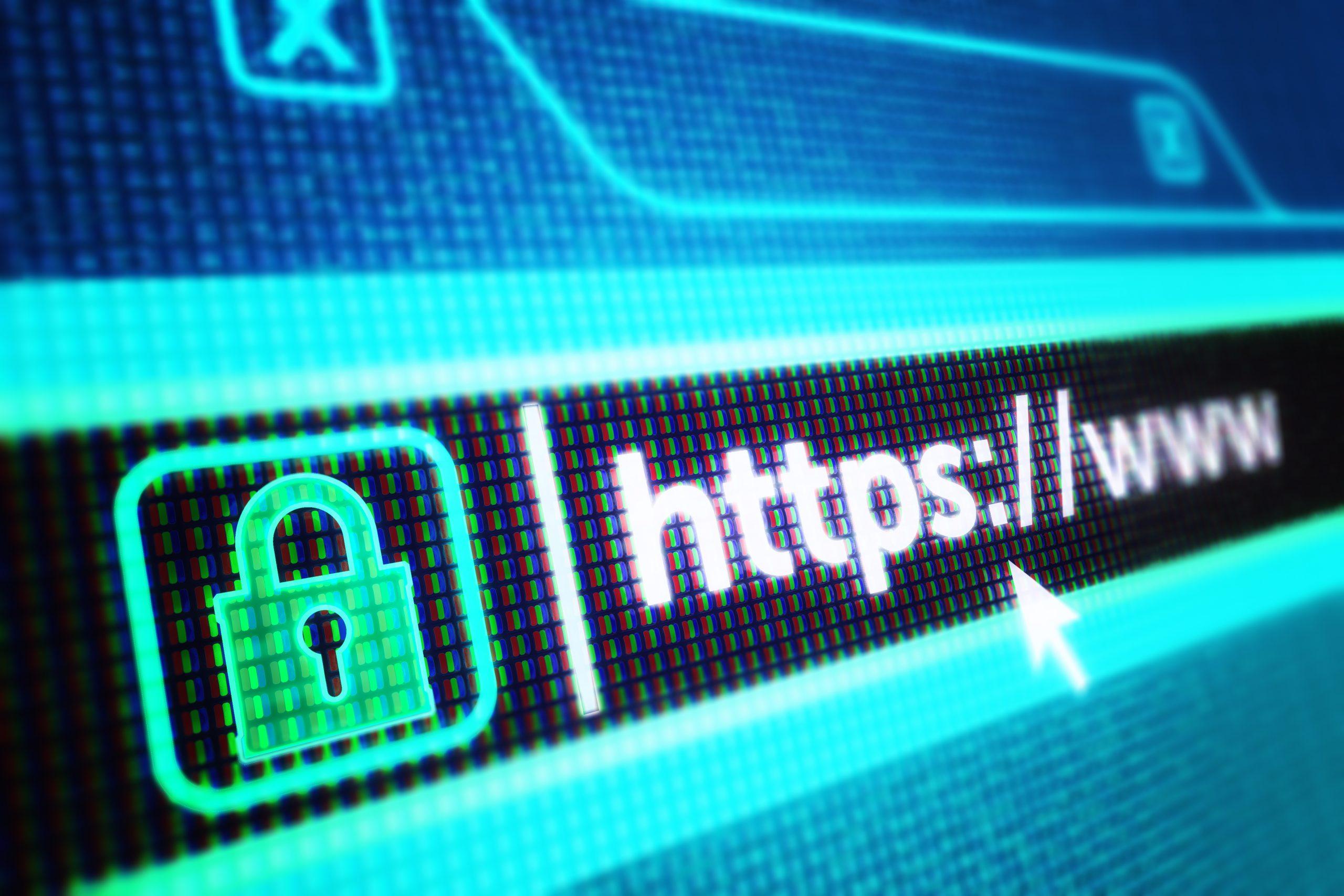 One Of The Most Important Attributes For Safe Web Browsing Is Common What