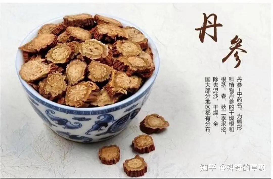 丹参是一种良药，食用有讲究！这样搭配活血祛瘀，疏通血管，通经止痛…看完后赶紧收藏吧！ - 知乎
