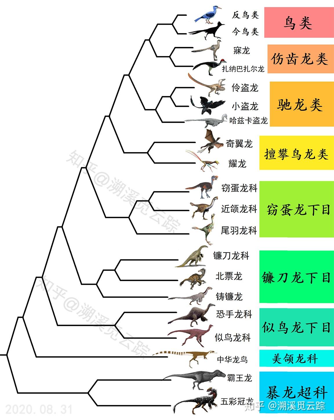 按照系统分类法鸟类是兽脚亚目恐龙其中一支的后裔整个鸟类是不是就