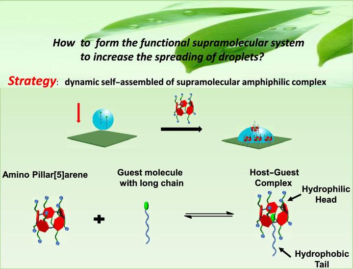 华中师范大学 李海兵教授团队:基于超分子两亲